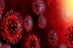 صور مخيفة لخلايا مجرى الهواء وهي تعج بفيروس كورونا