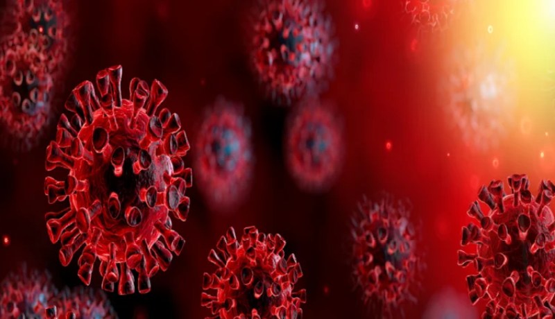 صور مخيفة لخلايا مجرى الهواء وهي تعج بفيروس كورونا