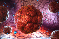 الدكتور مكي: الأشخاص الذين أصيبوا بكورونا غير محميين من العدوى الجديدة