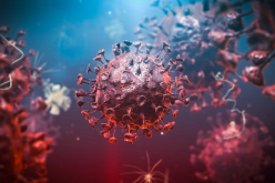 منظمة الصحة العالمية: لا نستبعد تسرب فيروس كورونا من مختبر!