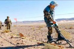 تدمير 6.710 لغم يعود إلى الحقبة الاستعمارية خلال شهر سبتمبر