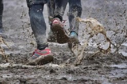 الوحل في المنام