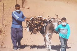 إبراهيم مراد: 15.044 منطقة ظل يقطنها 8 ملايين نسمة .. الرئيس تبون يسهر شخصيا على متابعة التكفل بها