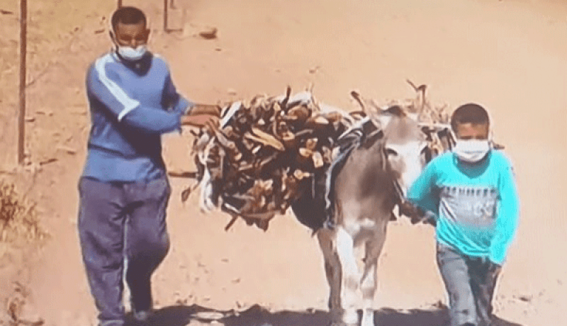 إبراهيم مراد: 15.044 منطقة ظل يقطنها 8 ملايين نسمة .. الرئيس تبون يسهر شخصيا على متابعة التكفل بها