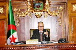 صيودة: الأميار مسؤولون على تراكم القمامة ونقص الإنارة ببعض البلديات