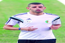 علينا عدم التوقف عند إنجاز مونديال 2014 ويجب دخول التاريخ بخطف كان 2017