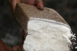 توقيف 4 أشخاص وحجز كمية من الكوكايين بالطارف