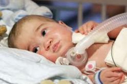 مجمع أنادولو التركي يستقبل أزيد من 700 جزائري سنويا للعلاج