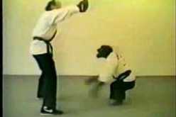 فيديو رائع لقرد يتدرب على الأنواع القتالية بطريقة مذهلة