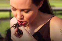 بالصّور .. أنجلينا جولي وأولادها يجبرون على تناول العقارب والعناكب والسبب