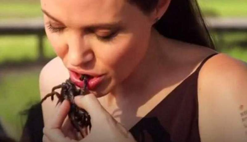 بالصّور .. أنجلينا جولي وأولادها يجبرون على تناول العقارب والعناكب والسبب