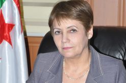 بن غبريط تكشف أن لجنة الخدمات الاجتماعية تعرف اختلالات ومشاكل