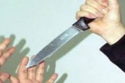 زوجة فنان مشهور تقتل طفلتيها