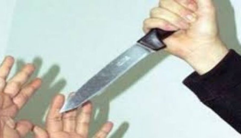 زوجة فنان مشهور تقتل طفلتيها