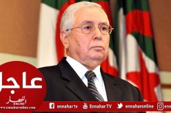 حركة تغييرات على رأس “سونلغاز” والتلفزيون الجزائري وسلطة السمعي البصري و”لاناب”