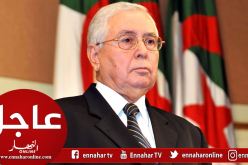 بن صالح يعين مدراء جدد للتلفزة وسلطة ضبط السمعي البصري وسونلغاز وANEP