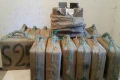 حجز أكثر من 60 كلغ من الكيف وتوقيف شخصين بسيدي بلعباس