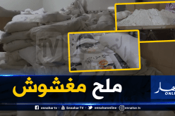 بالفيديو.. تفكيك ورشة سرية لإنتاج وتعليب ملح الطعام المغشوش بغليزان