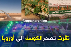 هكذا تستغل المياه الجوفية الساخنة لتصدير الكوسة إلى أوروبا