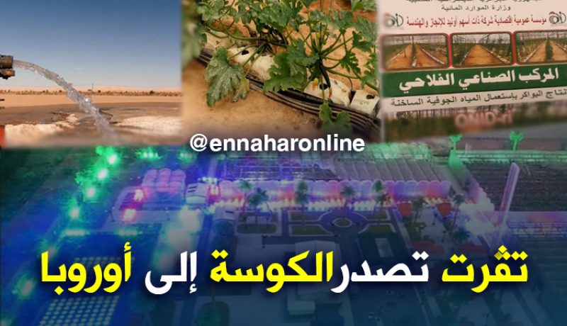 هكذا تستغل المياه الجوفية الساخنة لتصدير الكوسة إلى أوروبا