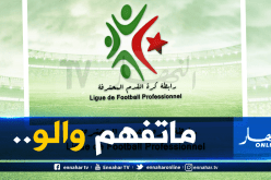 رئيس لجنة المُنازعات يفضح تناقضات الأندية الجزائرية