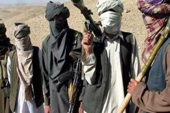 طالبان تتكبد خسائر فادحة أمام القوات الأفغانية