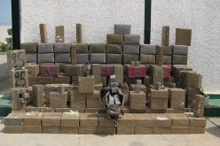 شبكة دولية من 19 فردا شحنت 8 أطنان من الكيف المغربي للجزائر عبر حاويات لاستيراد التفاح