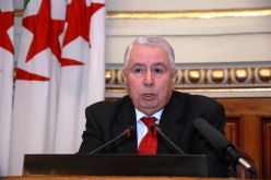 بن صالح يمثل رئيس الجمهورية في حفل التوقيع على إتفاق السلام والمصالحة في مالي