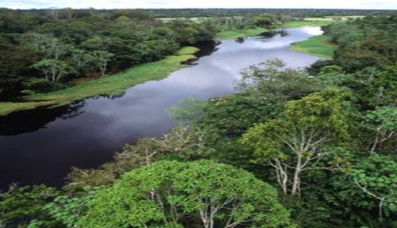 نشاطات ثقافية وإعلامية تهتم بالوسط الغابي والبيئة بتلمسان