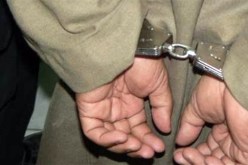 معالجة 29 قضية جنائية وتوقيف 67 متورطا في جرائم القتل العمدي في جويلية