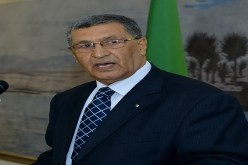 ماحي أكبر الخاسرين