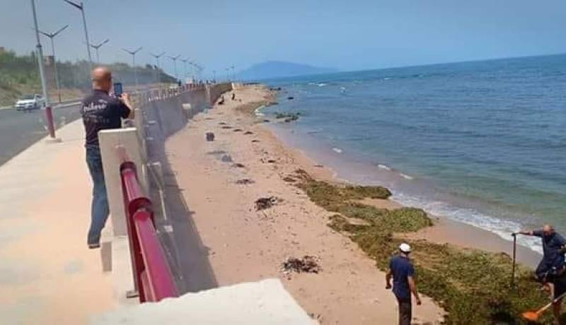 بلدية بوسماعيل تسترجع شاطئها المهجور منذ سنوات بفعل القاذورات