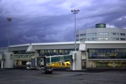 صينيان يحاولان تهريب عاج الفيلة عبر مطار الجزائر