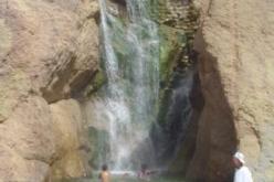 غذاء الواحة و ملهم الفنانين