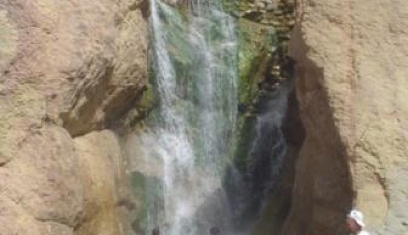 غذاء الواحة و ملهم الفنانين