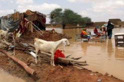 انهيار 700 منزل جزئيا جراء الأمطار الغزيرة والرياح في ولاية كسلا بالسودان