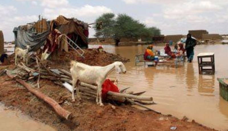 انهيار 700 منزل جزئيا جراء الأمطار الغزيرة والرياح في ولاية كسلا بالسودان
