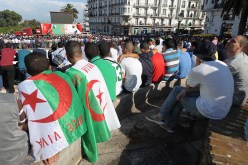 شاشات عملاقـة لنقـل مباريات الخضـر بالعاصمـــة