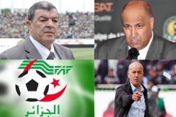 الفاف تعاقب حناشي.. تستدعي كل من غريب وحمّار وتغرم عدة أندية