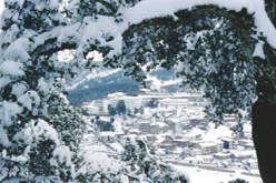 مقتل 5 اشخاص جراء موجة البرد في تونس