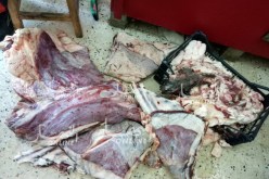 جزّار وشريكه يستغلاّن “ڤاراج” لتسويق 4 قناطير لحوم فاسدة خلال العيد