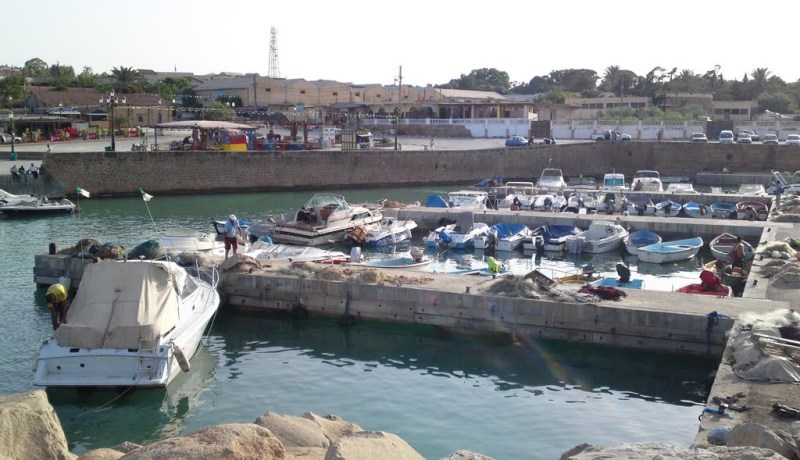 تيبازة.. إصابة شخص بجروح إثر سقوطه من ميناء قوراية