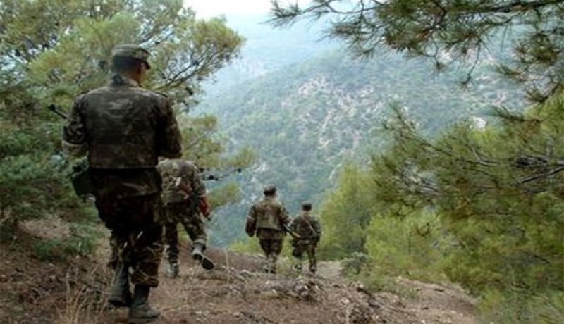 الجيش يطلق عملية تمشيط بدعم جوي بحثا عن إرهابيين قتلوا شيخا في تبسة