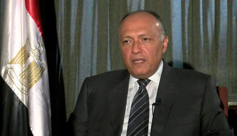 وزير الشؤون الخارجية المصري في زيارة للجزائر