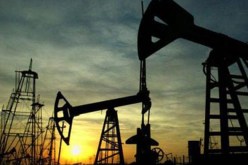 استقرار أسعار النفط