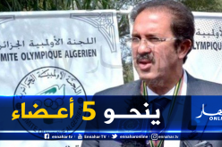 اللجنة الأولمبية الجزائرية تعقد جمعية عامة إستثنائية لإستخلاف 5 أعضاء