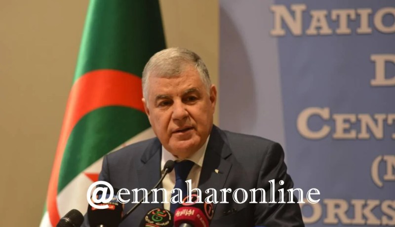 قيطوني: الإعتماد على المراكز الوطنية للبيانات للتدقيق والتحقق في الكوارث