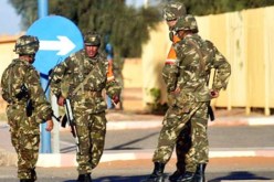 الجيش يتمكن من تحييد نشاط خلية إرهابية بجنوب البلاد