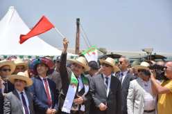 وزير الفلاحة يشرف على الإنطلاق الرسمي لحملة الحصاد والدرس من المدية