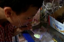 حلوة غريبة تشبه المخدرات تغزو الأسواق الجزائرية